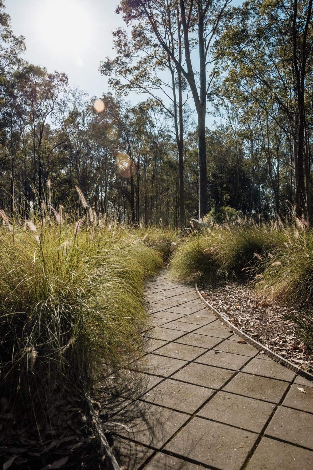 Wild Woods At Pokolbin Villa Buitenkant foto